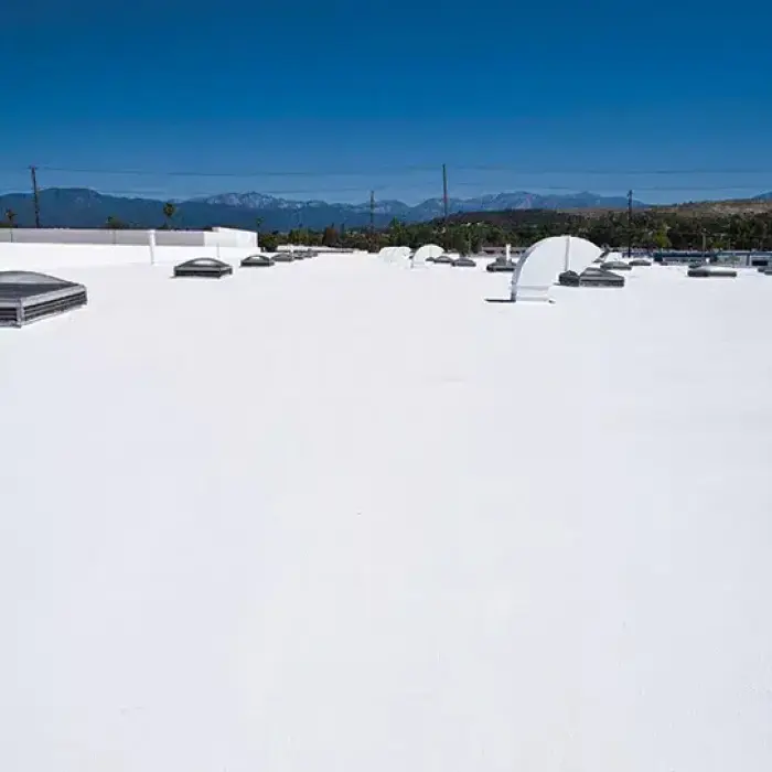 White commercial rooftop with skylights and roof coating